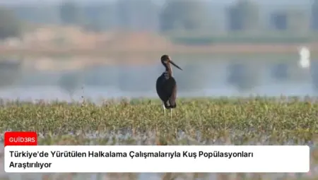 Türkiye’de Yürütülen Halkalama Çalışmalarıyla Kuş Popülasyonları Araştırılıyor