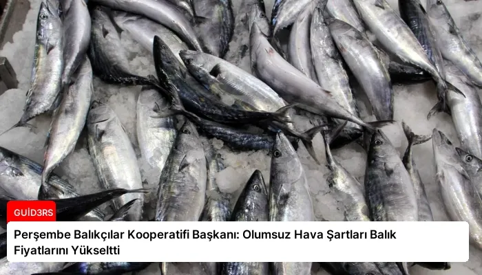Perşembe Balıkçılar Kooperatifi Başkanı: Olumsuz Hava Şartları Balık Fiyatlarını Yükseltti