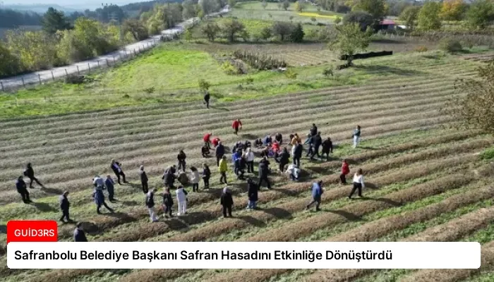 Safranbolu Belediye Başkanı Safran Hasadını Etkinliğe Dönüştürdü
