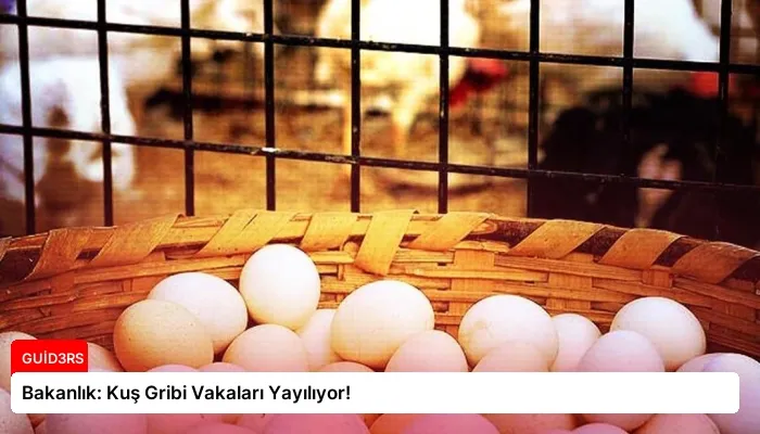 Bakanlık: Kuş Gribi Vakaları Yayılıyor!