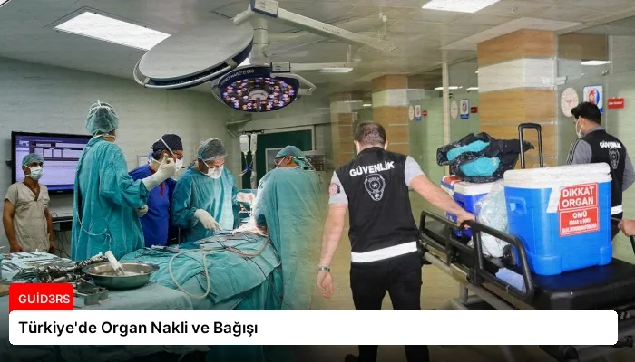 Türkiye’de Organ Nakli ve Bağışı
