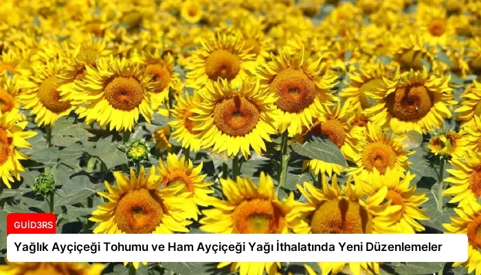 Yağlık Ayçiçeği Tohumu ve Ham Ayçiçeği Yağı İthalatında Yeni Düzenlemeler