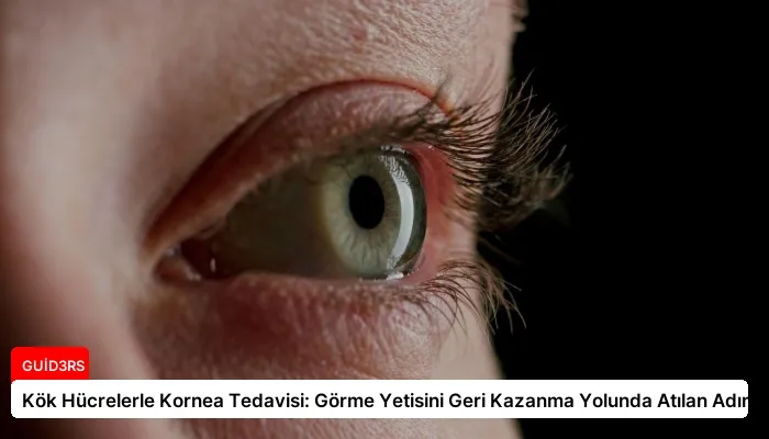 Kök Hücrelerle Kornea Tedavisi: Görme Yetisini Geri Kazanma Yolunda Atılan Adımlar