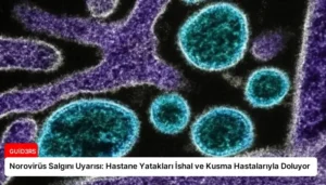 Norovirüs Salgını Uyarısı: Hastane Yatakları İshal ve Kusma Hastalarıyla Doluyor