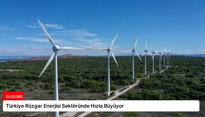 Türkiye Rüzgar Enerjisi Sektöründe Hızla Büyüyor