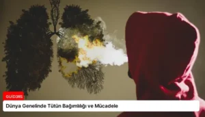 Dünya Genelinde Tütün Bağımlılığı ve Mücadele