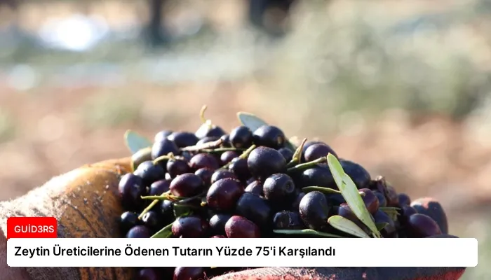 Zeytin Üreticilerine Ödenen Tutarın Yüzde 75’i Karşılandı