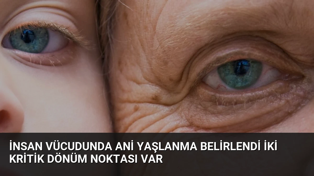 İnsan Vücudunda Ani Yaşlanma Belirlendi İki Kritik Dönüm Noktası Var