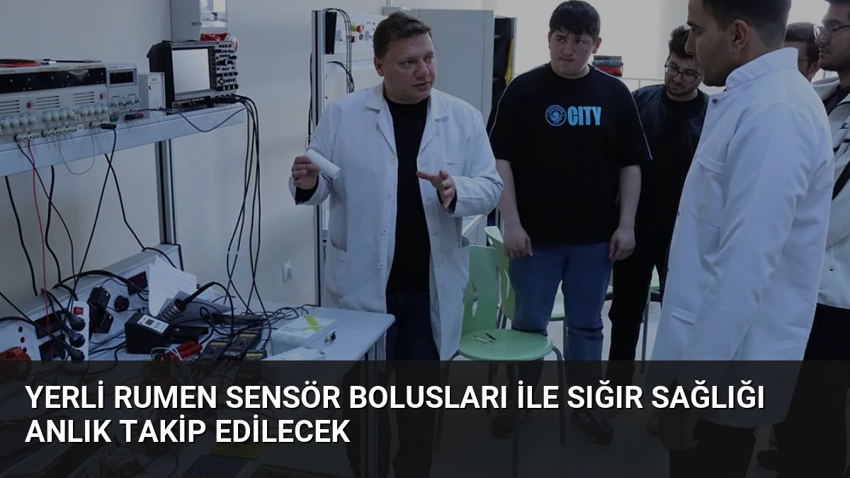 Yerli Rumen Sensör Bolusları ile Sığır Sağlığı Anlık Takip Edilecek