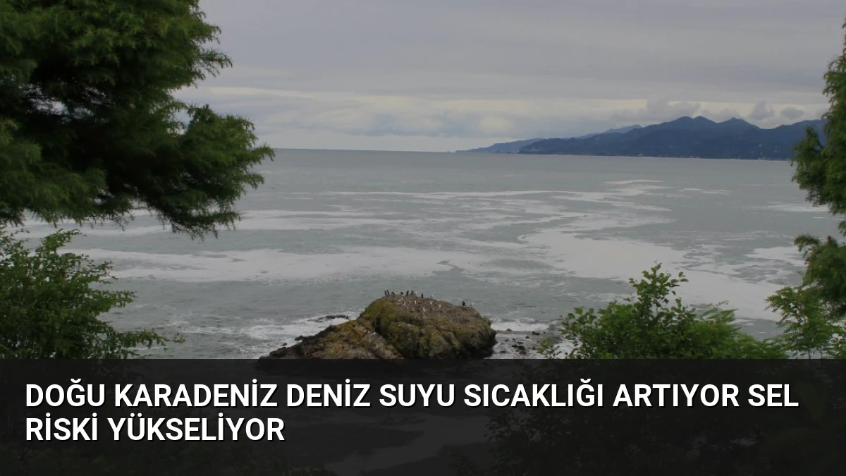 Doğu Karadeniz Deniz Suyu Sıcaklığı Artıyor Sel Riski Yükseliyor