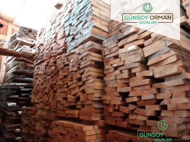 Pergola mı Kamelya mı? Aralarındaki Farklar ve Doğru Seçim Rehberi