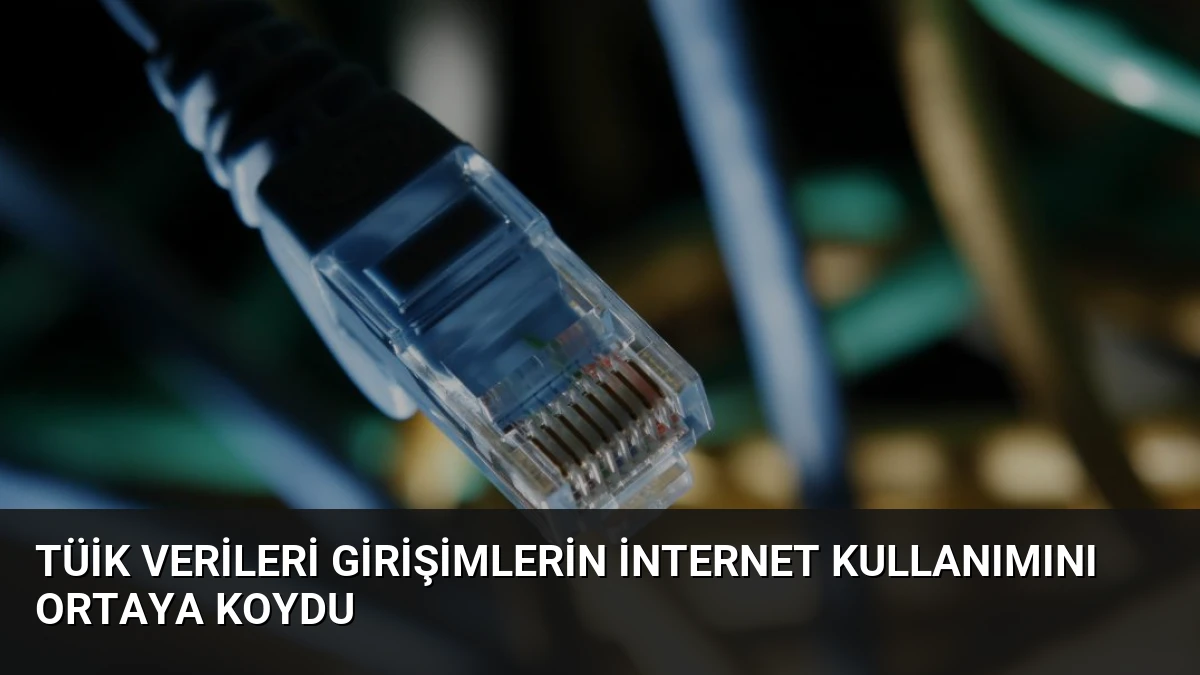 TÜİK Verileri Girişimlerin İnternet Kullanımını Ortaya Koydu