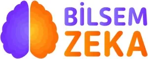 BİLSEM Sorularında Yeni Dönem: Ezberden Çok Dikkat ve Mantık Öne Çıkıyor